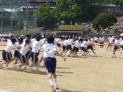P1000141.JPG