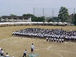 P1000156.JPG