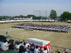 P1000157.JPG