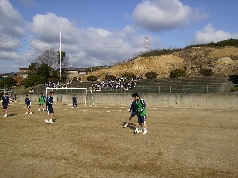 P3120007.jpg