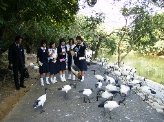 PB090013.jpg