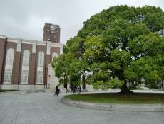 変換 ～ CIMG0046.jpg