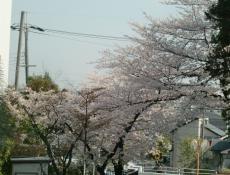 変換 ～ CIMG0272.jpg