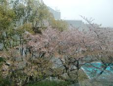 変換 ～ CIMG0696.jpg
