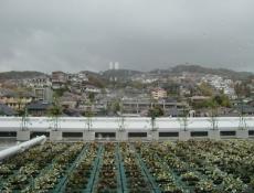 変換 ～ CIMG0700.jpg