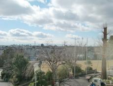 変換 ～ CIMG0949.jpg