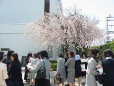 変換 ～ IMG_1777.jpg