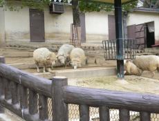 変換 ～ P1010444.jpg
