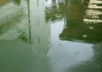 2009_11_11.JPG