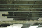 2009_2_19_3.jpg