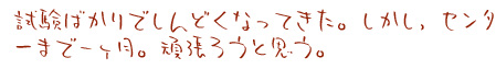 20101215.jpg