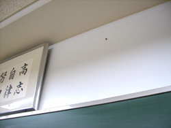 2010_12_18.jpg