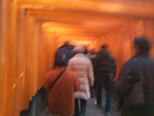 2010_1_04_2.jpg