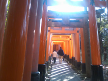 2010_1_04_5.jpg