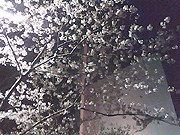 2010_4_06_2.jpg