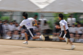 2010_5_8_3.jpg