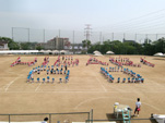 2010_5_8_6.jpg