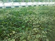 2010_6_26_1.jpg