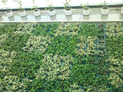 2010_6_26_2.jpg