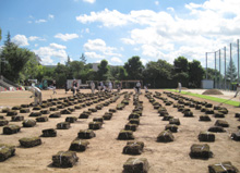 2010_8_6_1.jpg