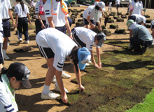 2010_8_6_3.jpg