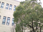2011_1_15_4.jpg