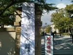 2011_1_16_4.jpg