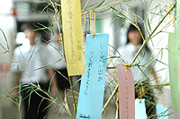 DSC2008_07_05.jpg