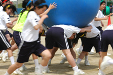 DSC_0060.jpg