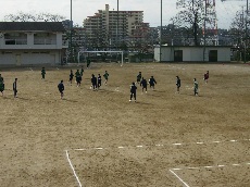 P3060129.jpg