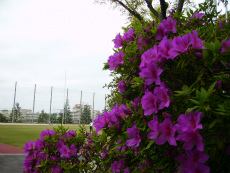 20120501009.jpg