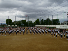 20120511035.jpg