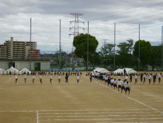 20120511044.jpg