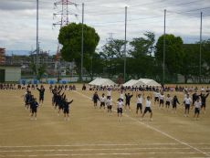 20120511051.jpg