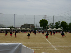 20120513015.jpg