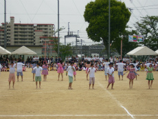 20120513016.jpg