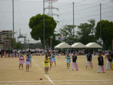 20120513017.jpg