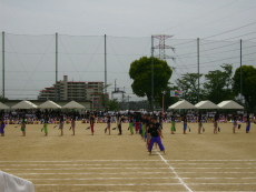 20120513024.jpg