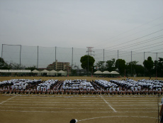 20120513050.jpg