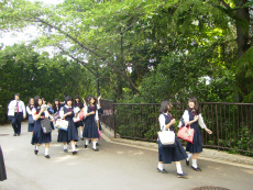 20120528005.jpg