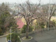 20130318004.jpg