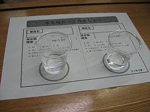 IMG_1598.jpg
