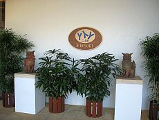 IMG_1983.jpg