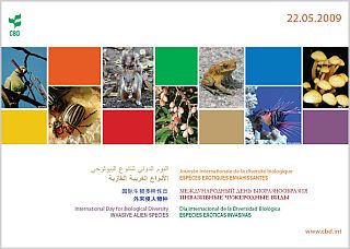 idb-2009-poster-685.jpg