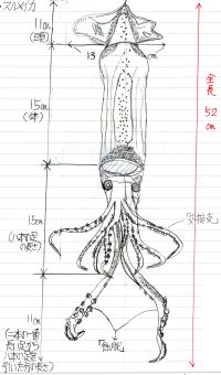 ５５期生通信 理科冬休みの課題から