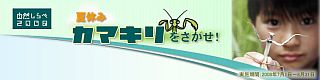 ss2008-logo.jpg