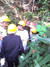 20101112102237_s[1].jpg