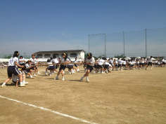 写真 2013-05-12 15 02 38.jpg