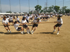 写真 2013-05-12 15 02 50.jpg