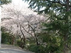 変換 ～ DSC_0022.jpg